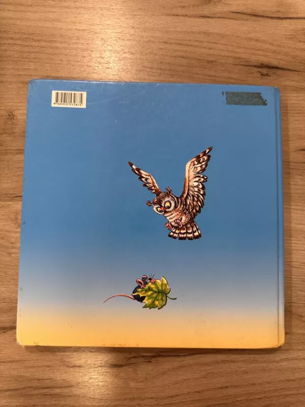 Kur keliauji, debesėli - Zita Gaižauskaitė, knyga 5