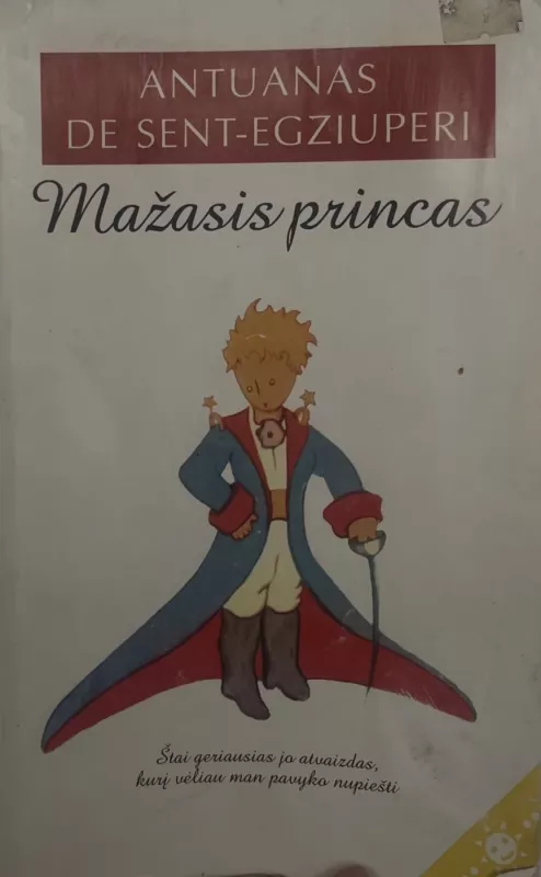 Mažasis princas - Sent-Egziuperi Antuanas de, knyga 2