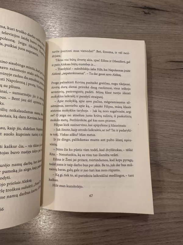 Mokykla, neviltis, didelė meilė - Autorių Kolektyvas, knyga 4