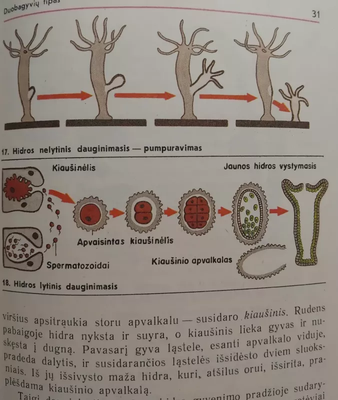Biologija 8 - B. Bychovskis, J. Kozlova, knyga 3
