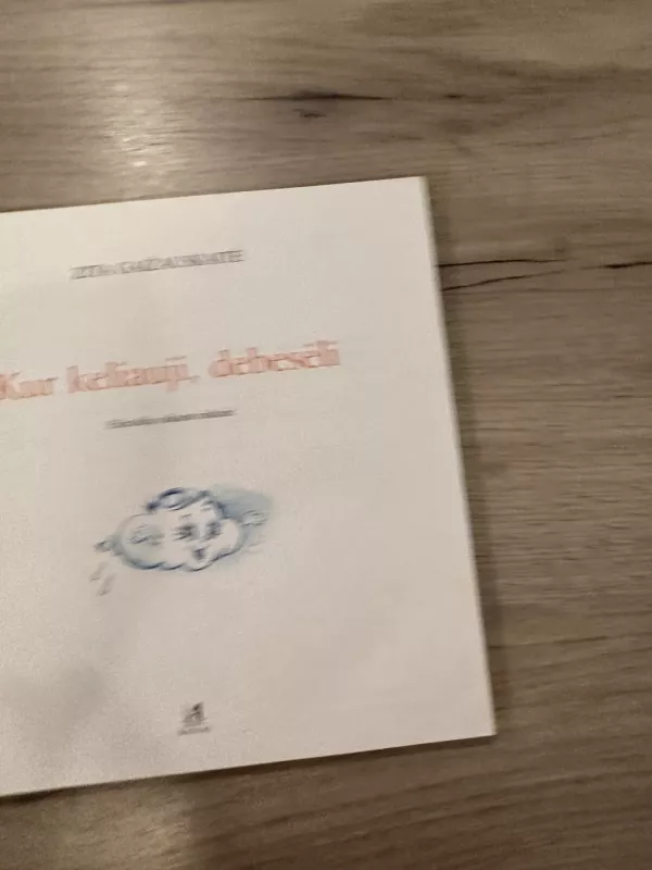 Kur keliauji, debesėli - Zita Gaižauskaitė, knyga 3