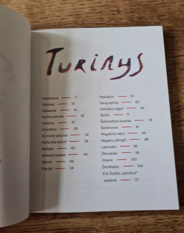 Spinčius - Povilas Villuveit, knyga 4