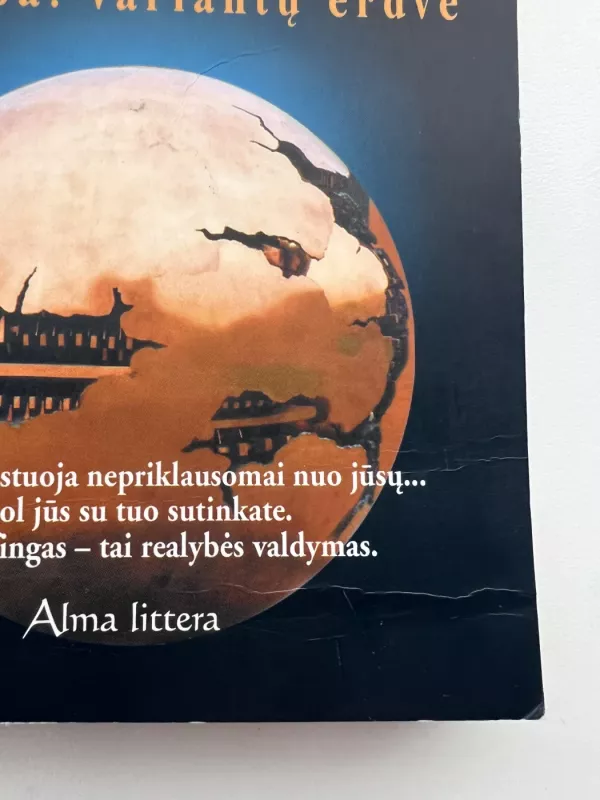 Likimo valdymo galimybės. Transerfingas. I pakopa: variantų erdvė - Vadim Zeland, knyga 3