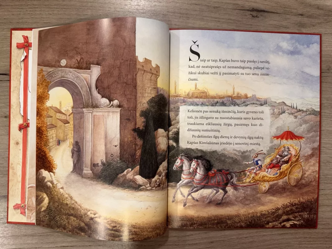 Kapšas Kimšaliūnas - Madona, knyga 4