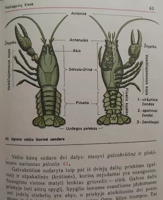 Biologija 8 - B. Bychovskis, J. Kozlova, knyga 5