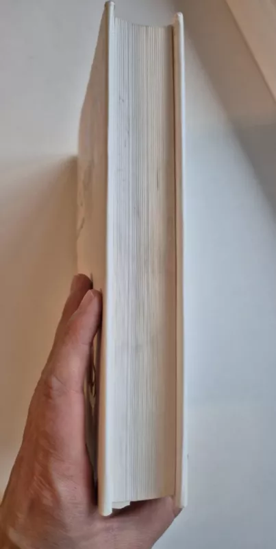 Lietuvos istorija geležies amžius - Rasa Banytė, Vytautas Kazakevičius, Ilona Vaškevičiūtė, Virginija Ostašenkovienė, Gintautas Zabiela, knyga 3