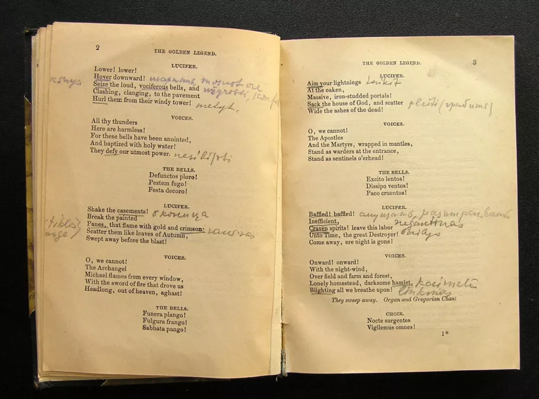 The Poetical Works of Henry W. Longfellow, Volume 2 - Henry W. Longfellow, knyga 5