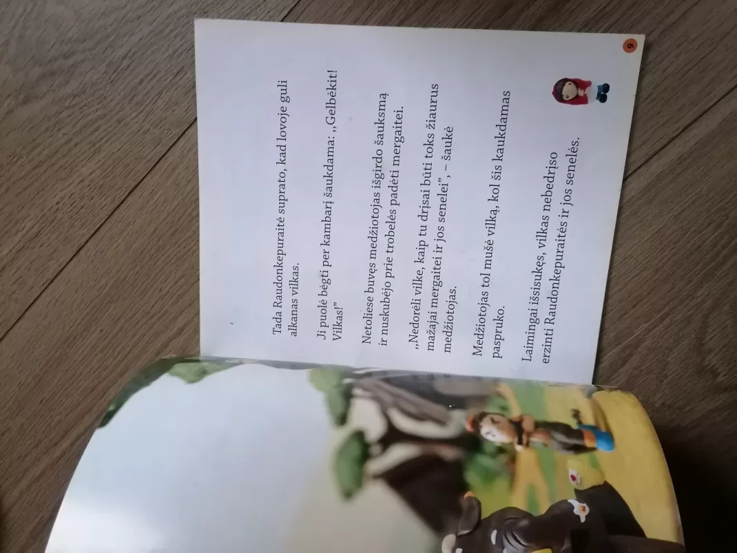 Raudonkepuraite - Autorių kolektyvas, red. J. Almonaitienė, Autorių kolekyvas, knyga 5