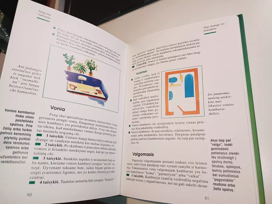 Feng Shui - Karola Berger, knyga 5