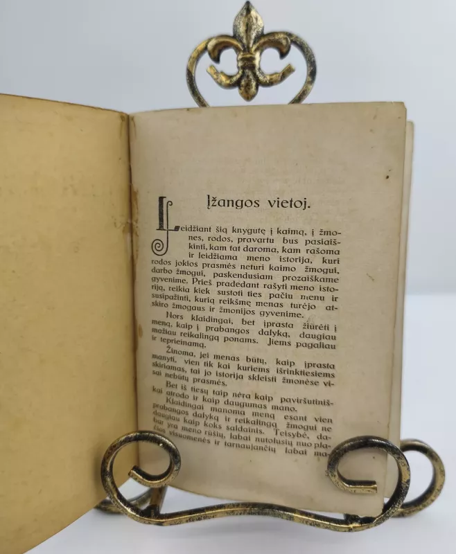 Meno istorijos metmens 1930m. - Ign. Šlapelis, knyga 2