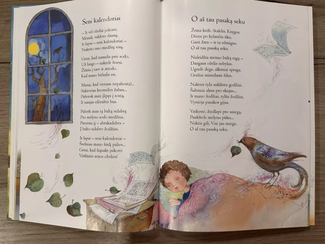 Vario varteliai - Martynas Vainilaitis, knyga 4