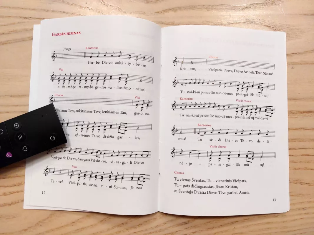 XXV Eilinis sekmadienis. Šventosios mišios.Kaunas,2018 m.rugsėjo 23 d. - Pranciškus Popiežius, knyga 5