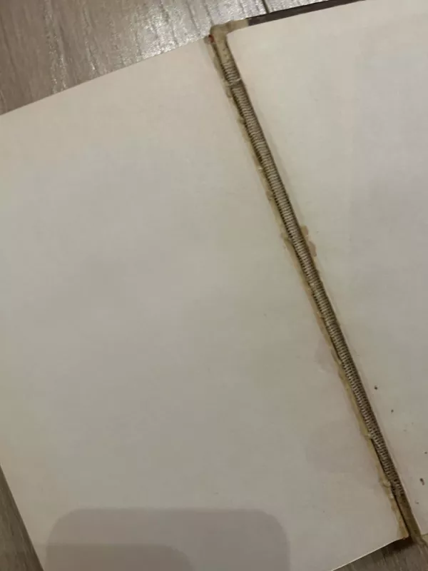 Salos vandenyne - Ernestas Hemingvėjus, knyga 3