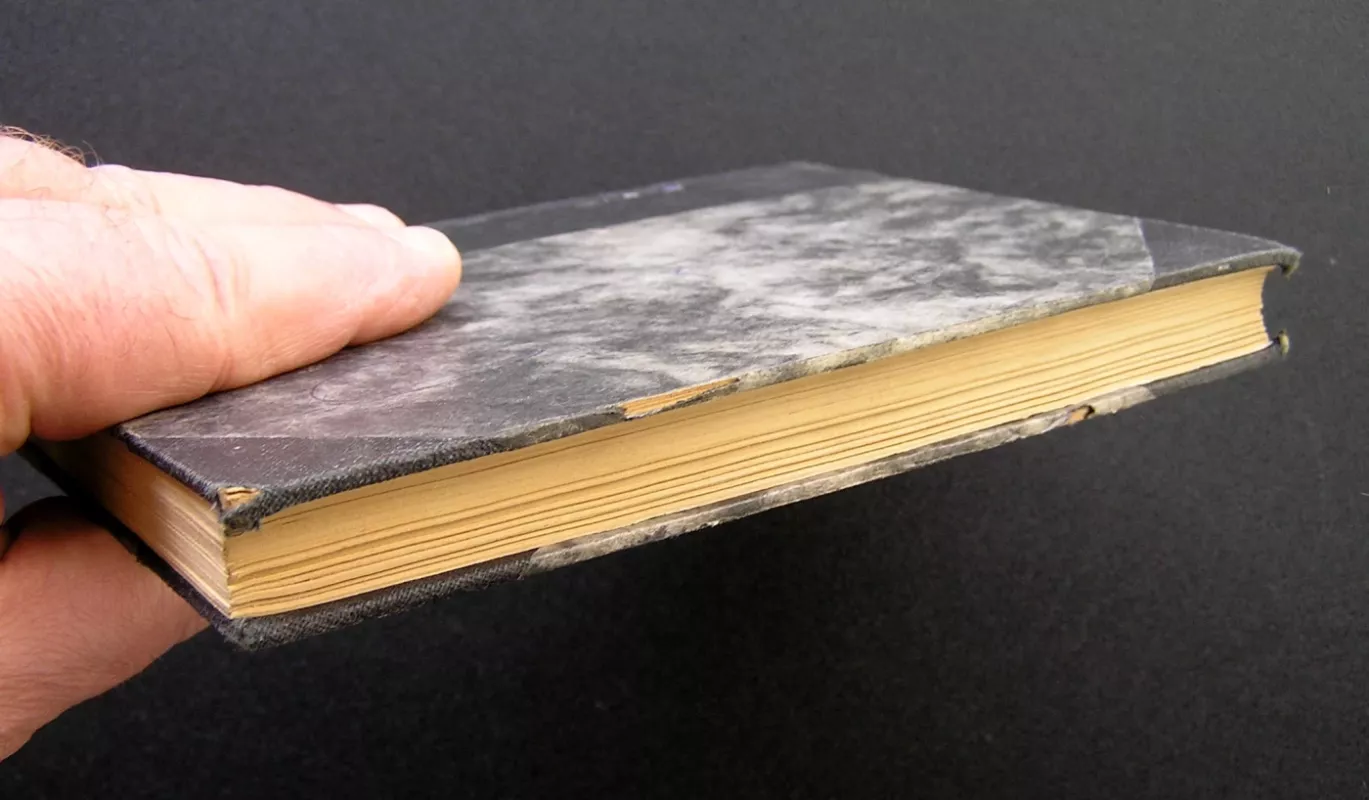 Pirmieji žmonės mėnulyje - H.G.Wells, knyga 6