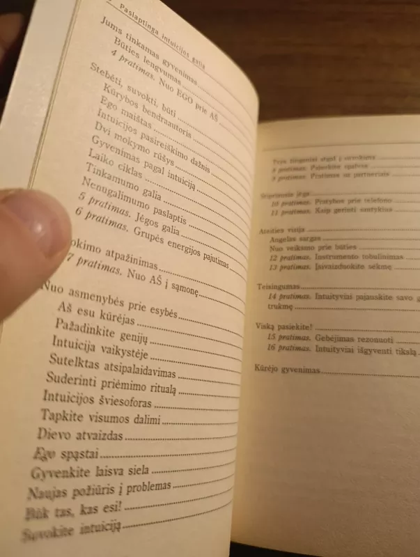 Paslaptinga intuicijos galia - Kurt Tepperwein, knyga 5