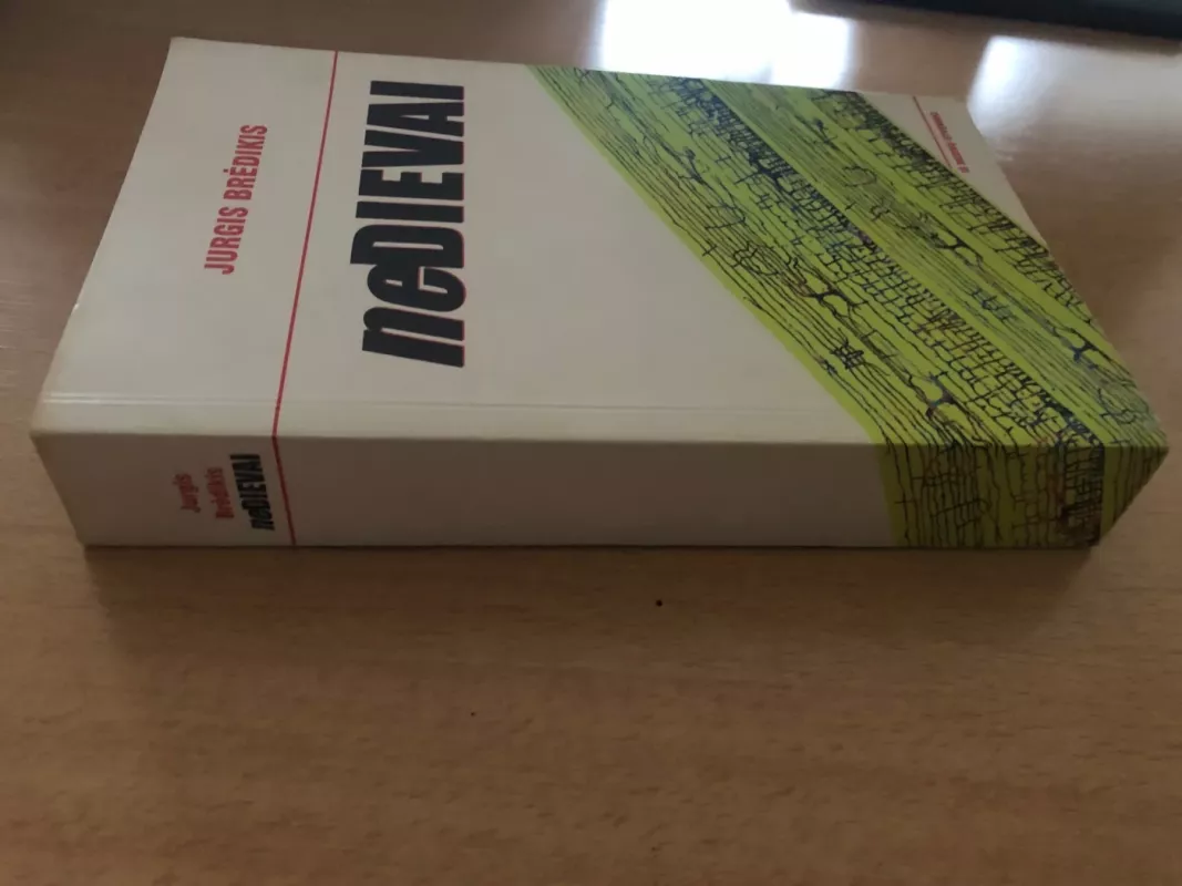 Ne dievai - Jurgis Brėdikis, knyga 4