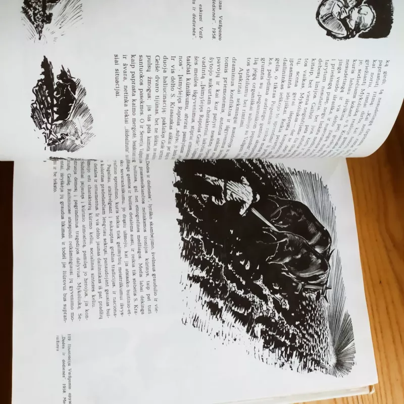 Stasys Krasauskas - J. Grigienė, knyga 6