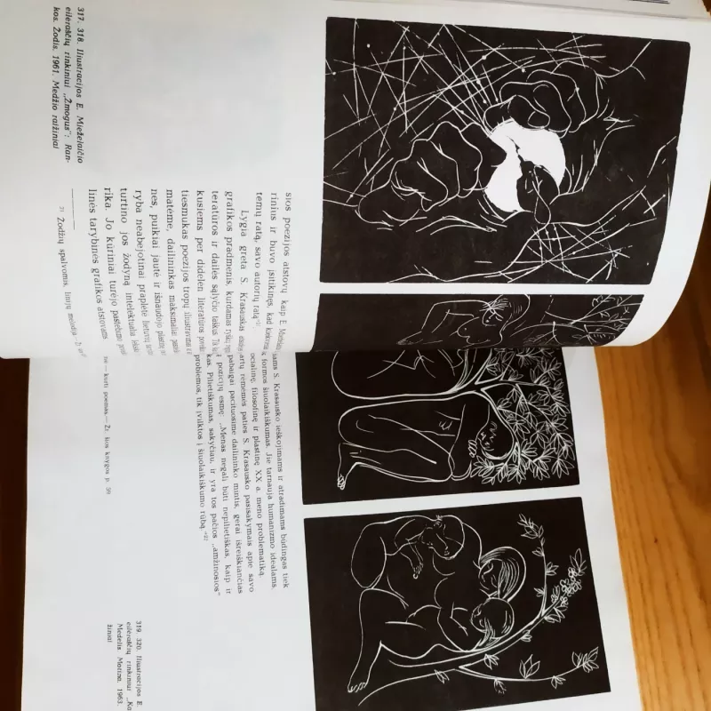 Stasys Krasauskas - J. Grigienė, knyga 4