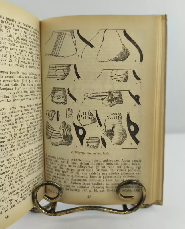 Nida: Senųjų baltų gyvenvietė - Rimutė Rimantienė, knyga 2