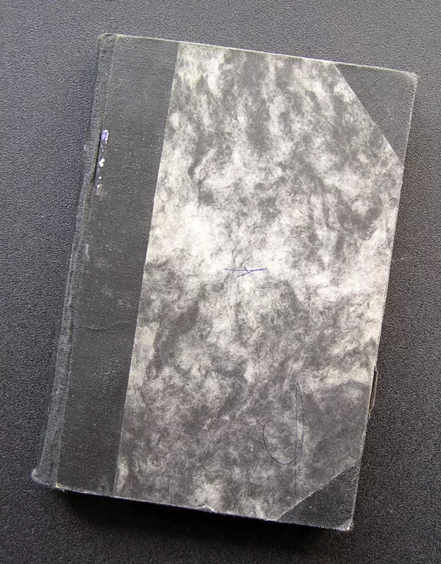 Pirmieji žmonės mėnulyje - H.G.Wells, knyga 3