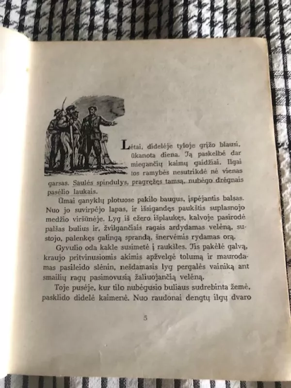 Žemė maitintoja. 1965 - Petras Cvirka, knyga 6