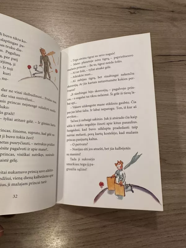 Mažasis princas - Antoine de Saint-Exupéry, knyga 4