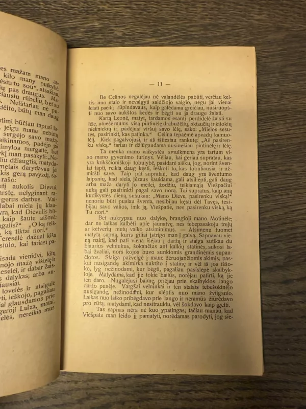 Šventosios kūdikėlio jėzaus Teresės sielos istorija 1931m. - J. Talmantas, knyga 4