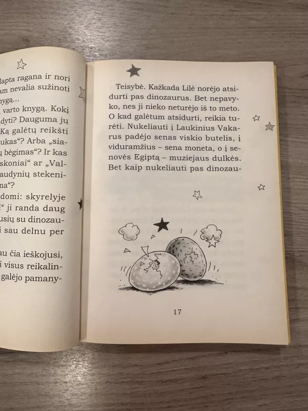 Ragana Lilė dinozaurų šalyje - Autorių Kolektyvas, knyga 4