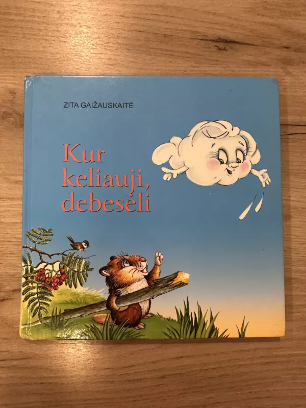 Kur keliauji, debesėli - Zita Gaižauskaitė, knyga 2