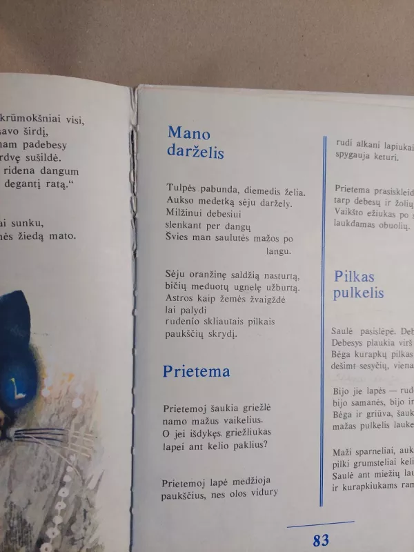 Baltas gulbių sostas - Janina Degutytė, knyga 6