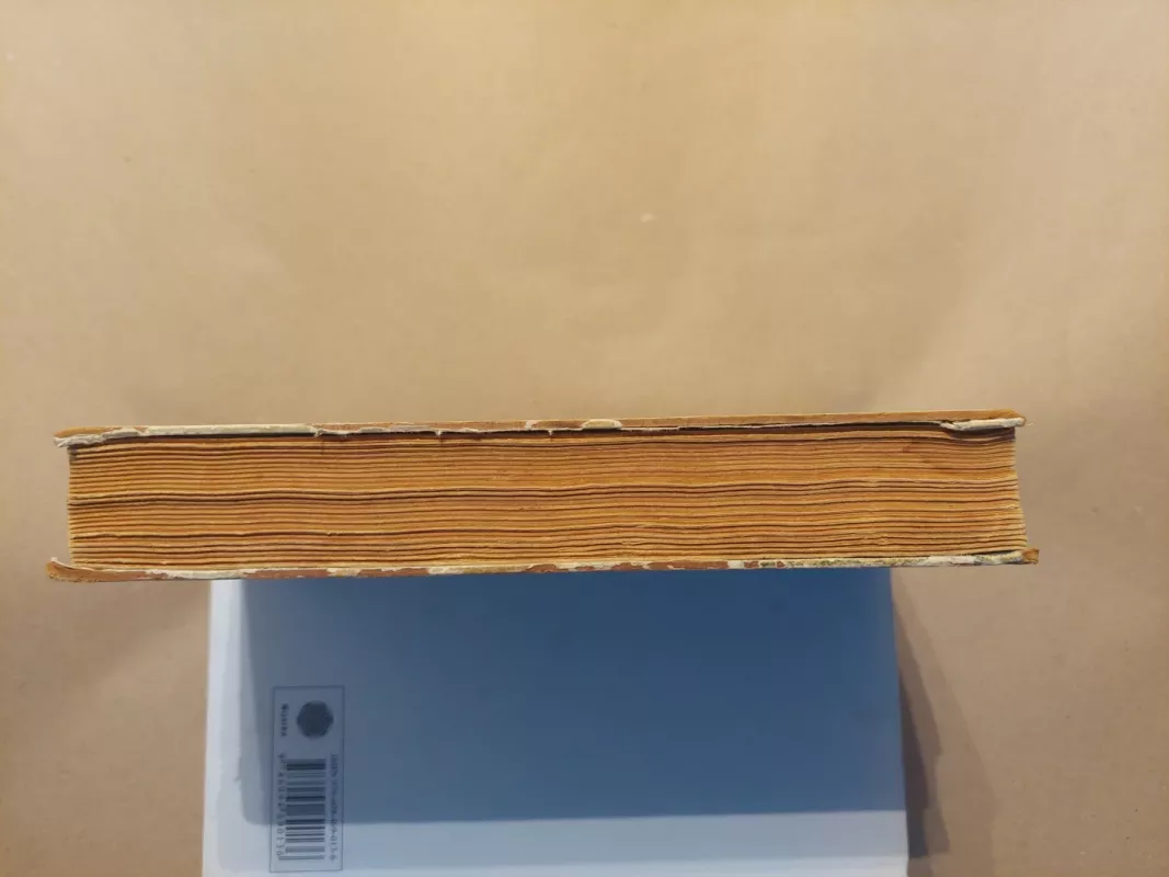 Jankis karaliaus Arturo dvare - Markas Tvenas, knyga 6