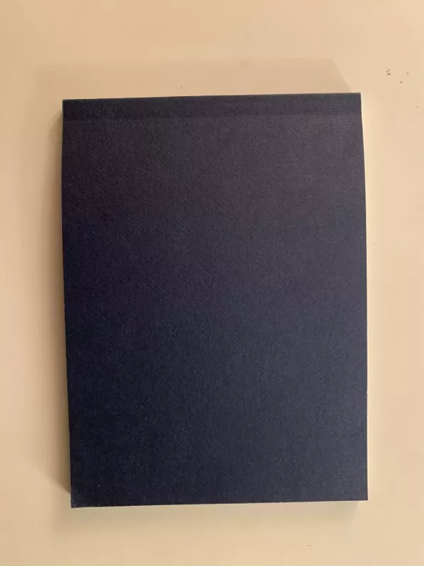 Taip pat, bet kitaip / The same, but different - Autorių kelektyvas, knyga 5