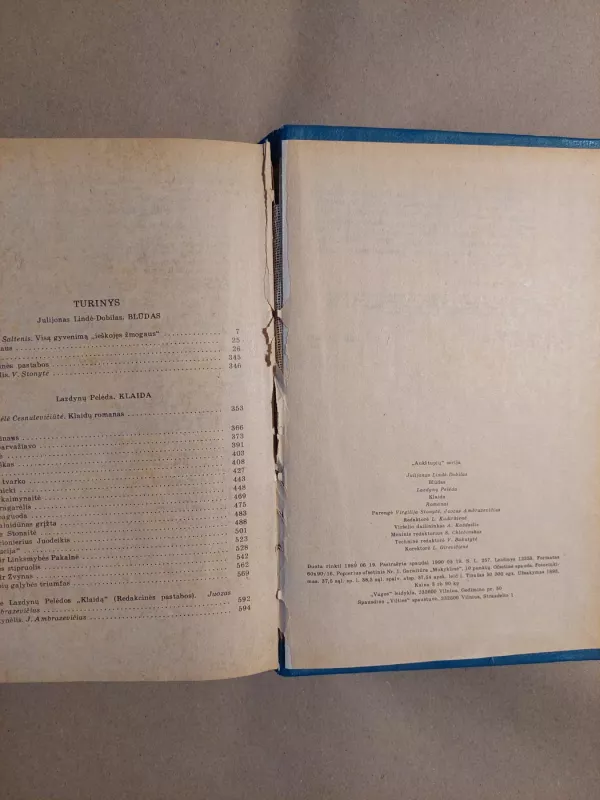 Blūdas. Klaida - J.Lindė-Dobilas, Lazdynų Pelėda, knyga 4