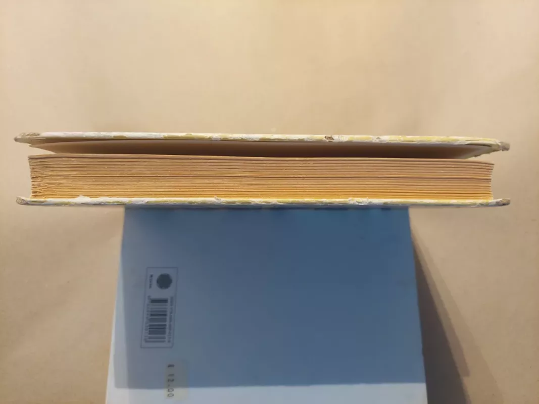 Danuko Dunduliuko nuotykiai - Vytautas Misevičius, knyga 6