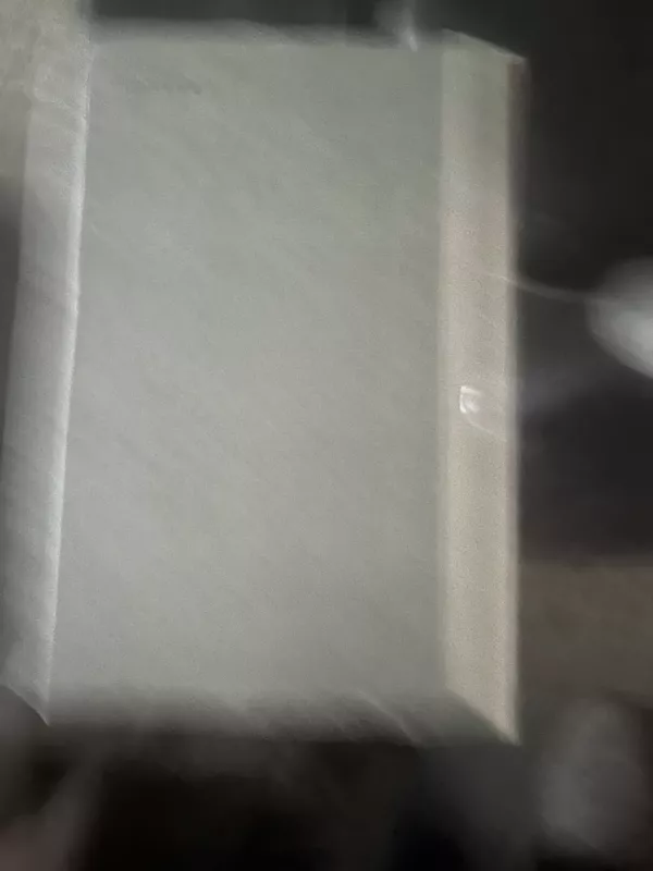 Richardas Vagneris - Džordžė Belanas, knyga 4