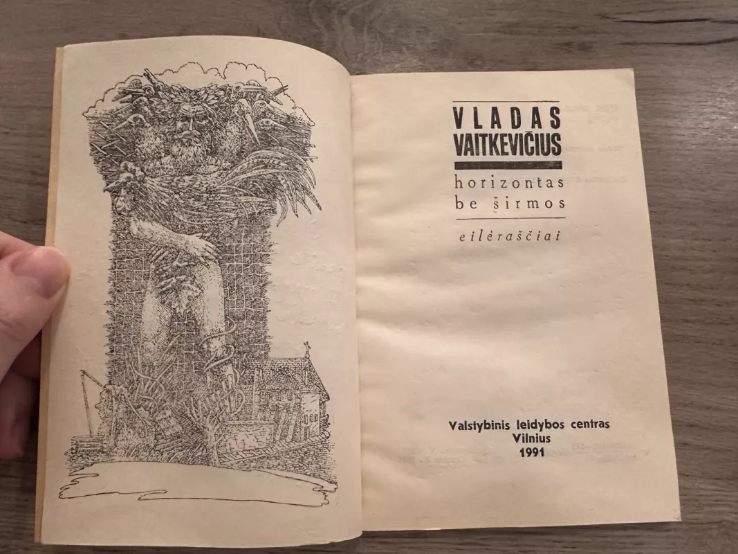 Horizontas be širmos - Vladas Vaitkevičius, knyga 4