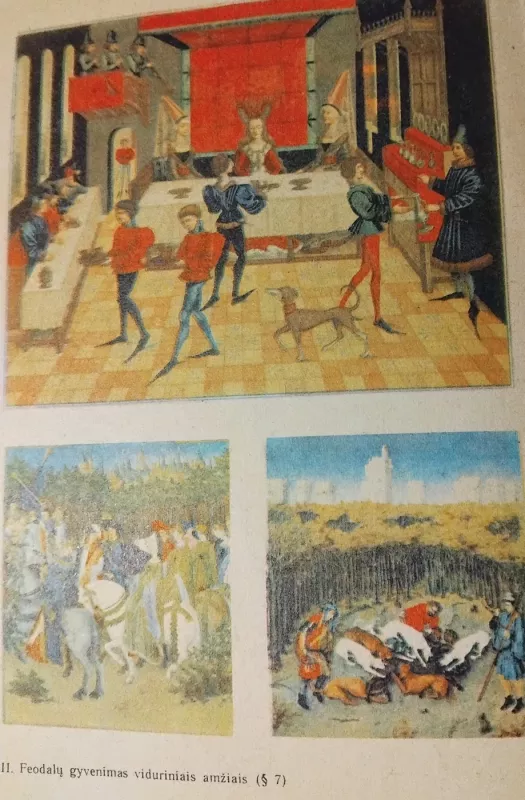 Vidurinių amžių istorija - J. Agibalova, G.  Donskojus, knyga 3