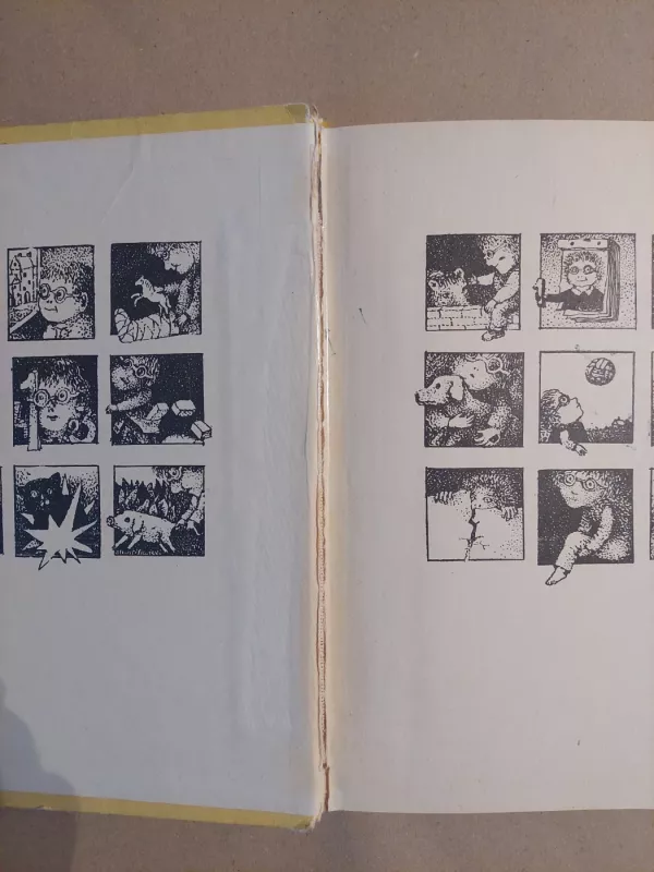 Danuko Dunduliuko nuotykiai - Vytautas Misevičius, knyga 5