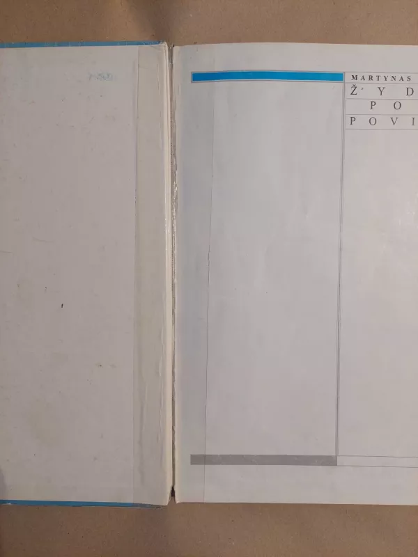 Žydras povas povinėja: eilėraščių rinktinė vaikams - Martynas Vainilaitis, knyga 6