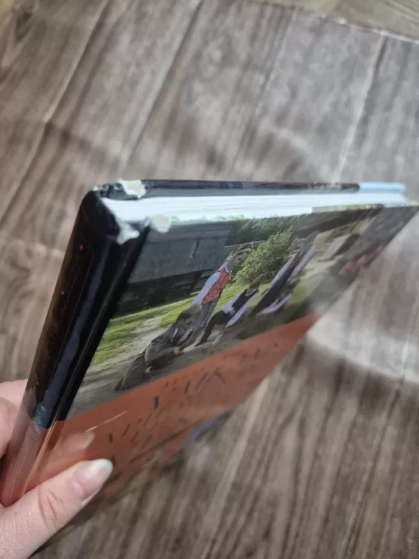 Vaikams apie senąsias lietuvių šventes - Arūnas Vaicekauskas, knyga 4