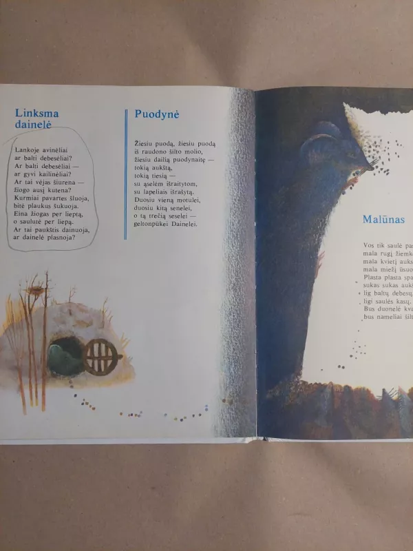 Baltas gulbių sostas - Janina Degutytė, knyga 5