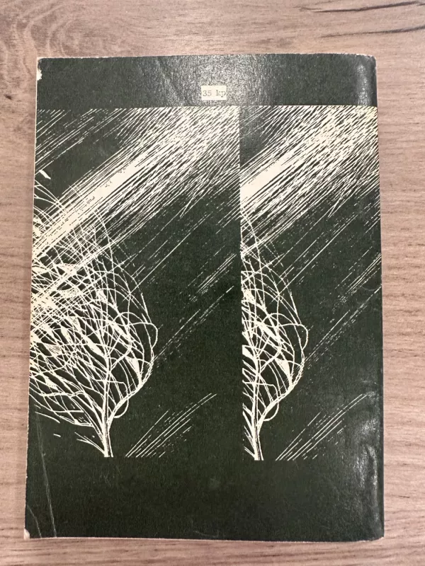 Buvimas - Juozas Marcinkevičius, knyga 5