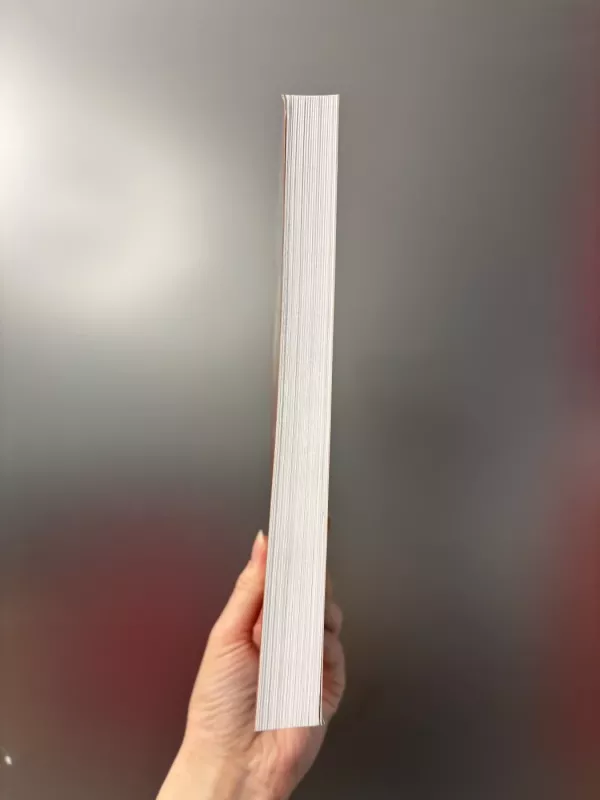 Meno aritmetika: Kultūros vadyba Lietuvoje (2 knyga) - Edmundas Žalpys, knyga 4