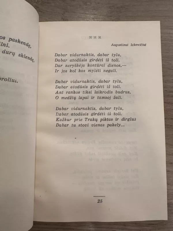 Horizontas be širmos - Vladas Vaitkevičius, knyga 5