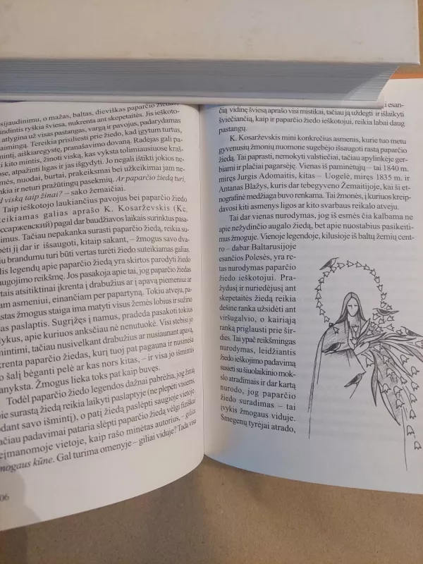 Rėdos knyga. Baltų kalendorinės šventės - Aleksandras Žarskus, knyga 6