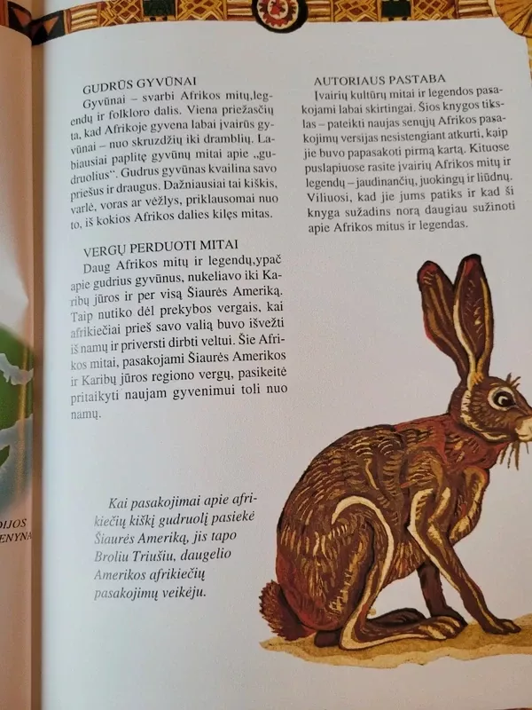 Afrikos mitai ir legendos - Philip Ardagh, knyga 4