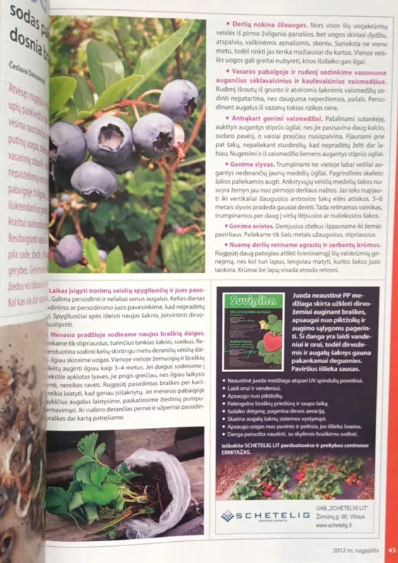 "Sodo spalvos" "Mano gėlynas" "Jurginai" - įvairūs, knyga 4