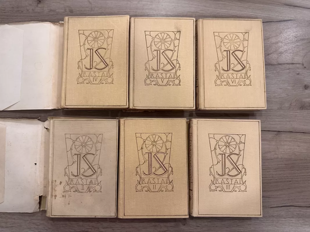 Raštai 1-6 tomai - Ieva Simonaitytė, knyga 3