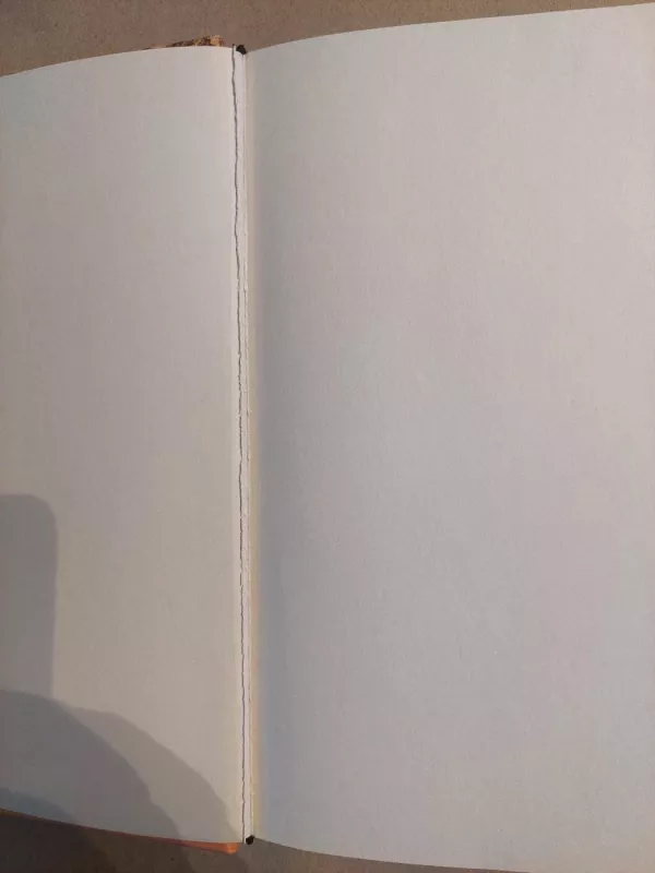 Šiukšlės - Andy Mulligan, knyga 4