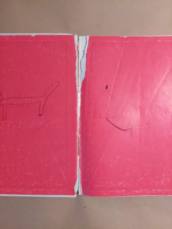 Sapnų taškuota sraigė - Violeta Palčinskaitė, knyga 5